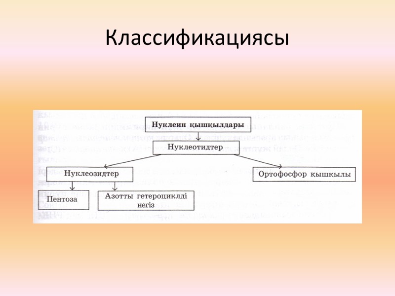 Классификациясы